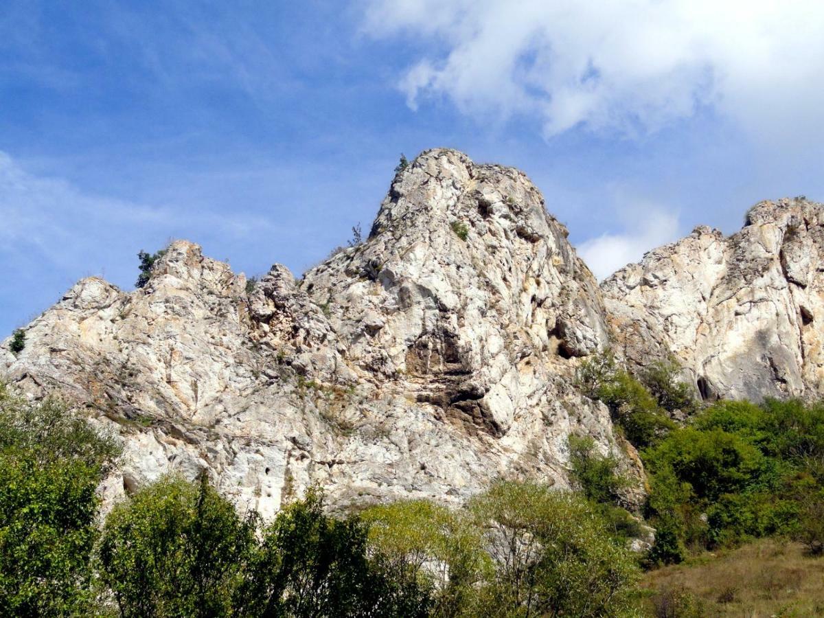 Hotel Aleksievata Kashta Gurguljat Kültér fotó